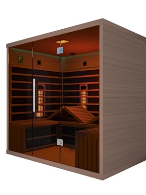 Sauna Infrarouge Panoramique